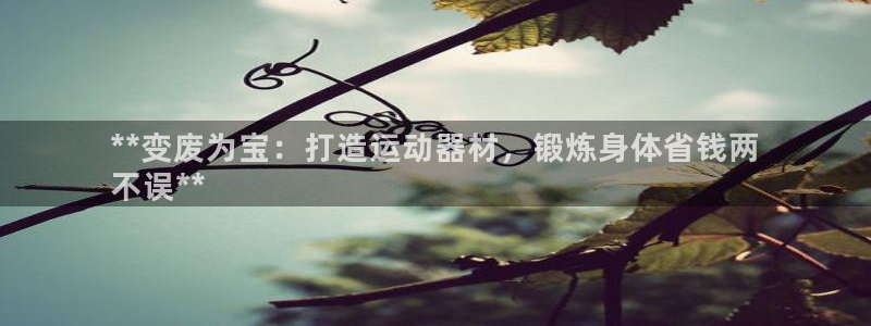 意昂3集团E.ON：**变废为宝：打造运动器材，锻炼