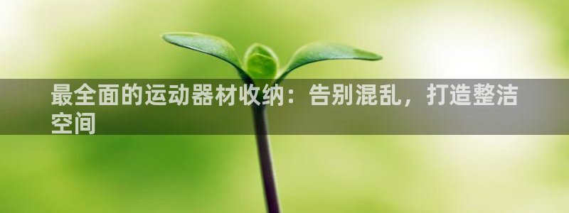 意昂3娱乐下载：最全面的运动器材收纳：告别混乱，打造