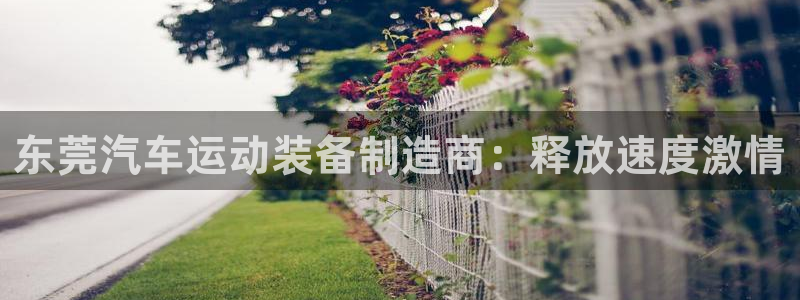 意昂3集团官网首页：东莞汽车运动装备制造商：释放速度