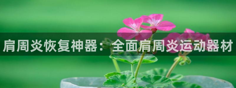 意昂3神州：肩周炎恢复神器：全面肩周炎运动器材