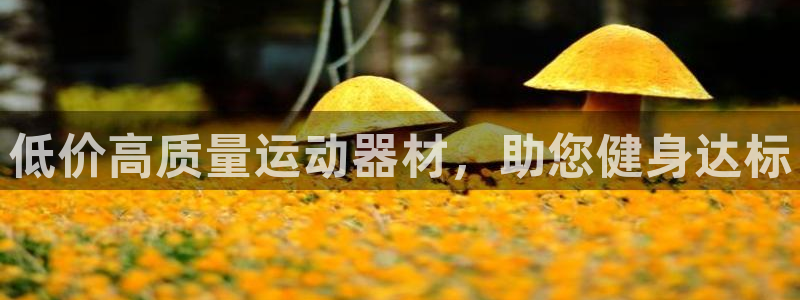 意昂体育3注册:低价高质量运动器材,助您健身达标