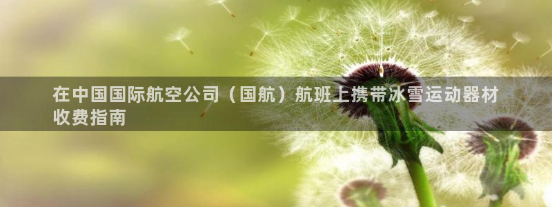 意昂3集团logo:在中国国际航空公司(国航)航班上携带冰雪