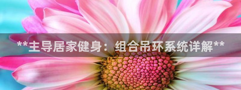 意昂体育3注册:**主导居家健身:组合吊环系统详解**