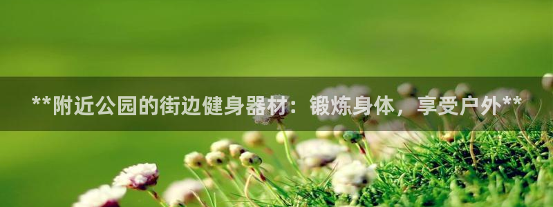 意昂体育3娱乐:**附近公园的街边健身器材:锻炼身体,享受户
